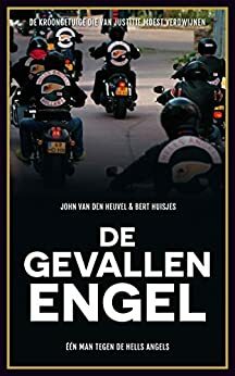 De gevallen engel by John van den Heuvel