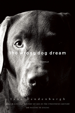 The Wrong Dog Dream: A True Romance by Jane Vandenburgh