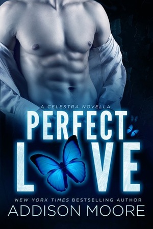 Perfect Love by Addison Moore