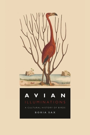 Avian Illuminations: A Cultural History of Birds by Boria Sax