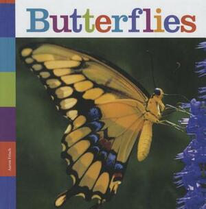 Butterflies by Aaron Frisch