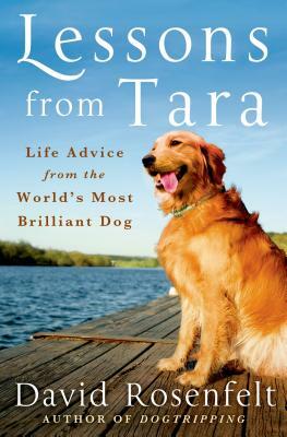 Lessons from Tara: Life Advice from the World's Most Brilliant Dog by David Rosenfelt