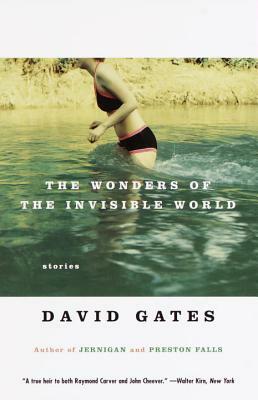 The Wonders of the Invisible World by David Gates