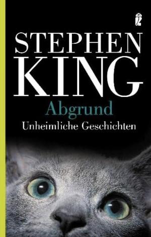 Abgrund Unheimliche Geschichten by Stephen King