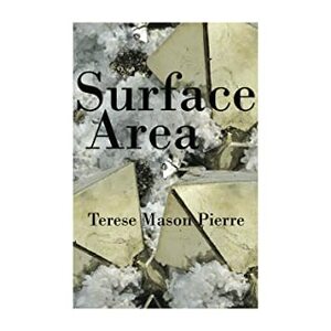 Surface Area by Terese Mason Pierre