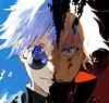 vanellus's profile picture