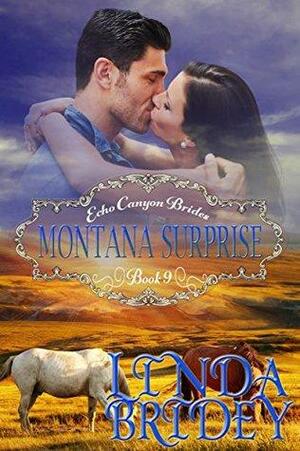 Montana Surprise by Linda Bridey