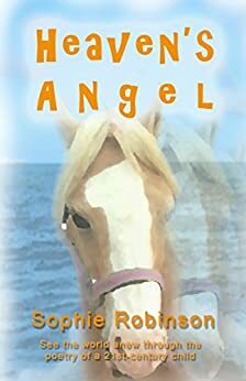 Heaven's Angel: See The World Anew Through The Poetry Of A 21st Century Child by Karen Perkins, Sophie Robinson