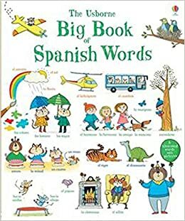 Big Book of Spanish Words IL by Mairi Mackinnon