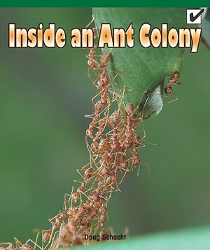 Inside an Ant Colony by Greg Roza