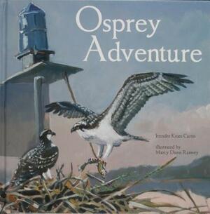 Osprey Adventure by Jennifer Keats Curtis