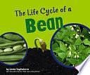 The Life Cycle of a Bean by Linda Tagliaferro