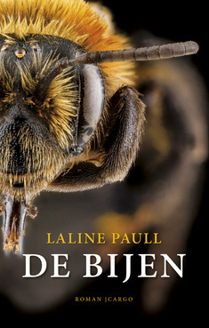 De bijen by Laline Paull, Hien Montijn