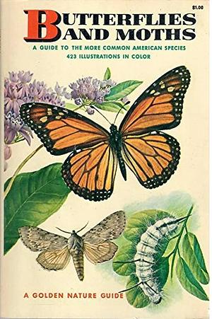Butterflies and Moths: A Guide To the More Common American Species by Robert T. Mitchell, Herbert Spencer Zim