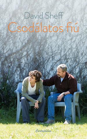 Csodálatos fiú by David Sheff