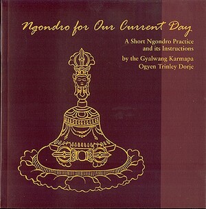 Ngondro for Our Current Day: A Short Ngondro Practice and Its Instructions by Ogyen Trinley Dorje