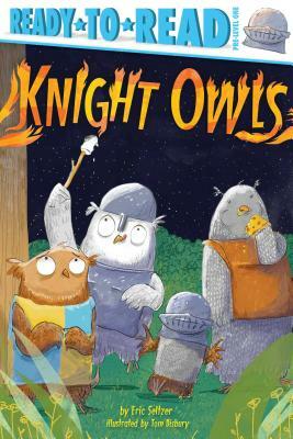 Knight Owls: Ready-To-Read Pre-Level 1 by Eric Seltzer