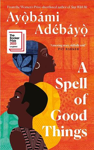 Tot el que podria haver estat by Ayọ̀bámi Adébáyọ̀