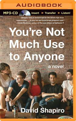 You're Not Much Use to Anyone by David Shapiro
