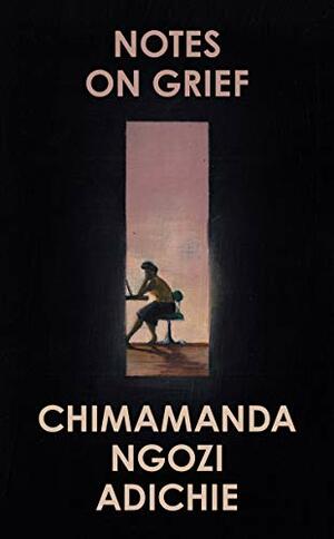 Noter om sorg by Chimamanda Ngozi Adichie