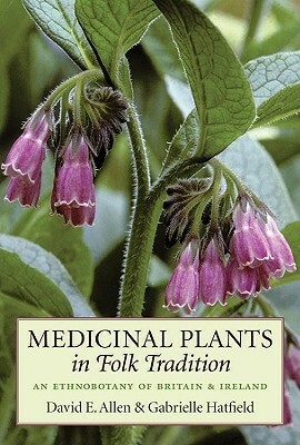 Medicinal Plants in Folk Tradition: An Ethnobotany of Britain & Ireland by David E. Allen, Gabrielle Hatfield