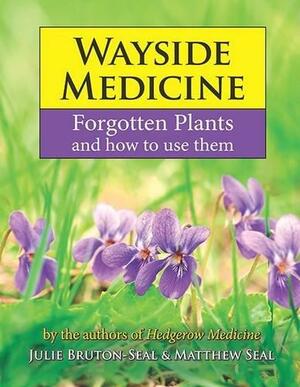 Wayside Medicine: Forgotten Plants to Make Your Own Herbal Remedies by Matthew Seal, Julie Bruton-Seal