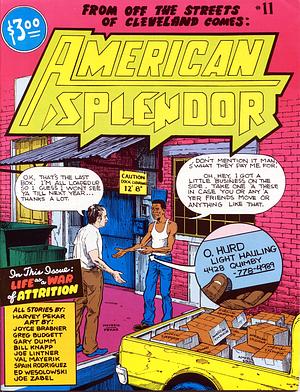 American Splendor, #11 by Harvey Pekar