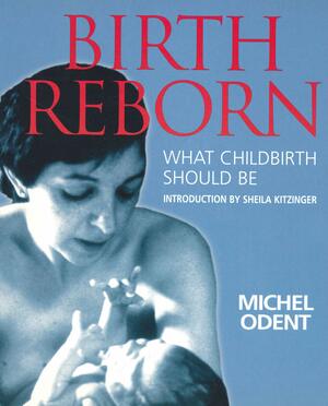 Die sanfte Geburt by Michel Odent