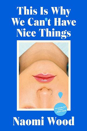 This Is Why We Can't Have Nice Things: A provocative, darkly funny collection of subversive short stories exploring modern femininity and family by Naomi Wood, Naomi Wood