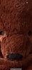 pippin98's profile picture