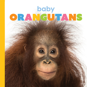 Baby Orangutans by Kate Riggs