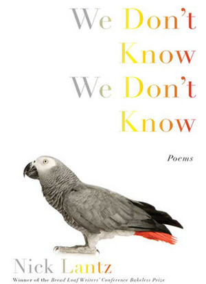 We Don't Know We Don't Know by Nick Lantz