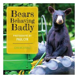 Bears Behaving Badly by John McDonald