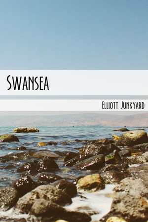 Swansea by Elliott Junkyard
