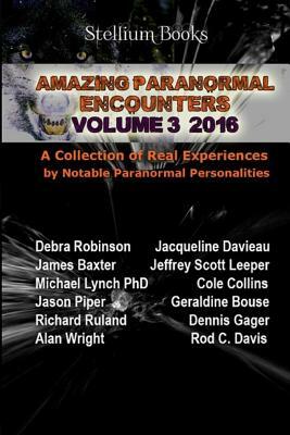 Amazing Paranormal Encounters Volume 3 by James Baxter, Jacqueline Davieau, Jeffrey Scott Leeper