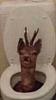 vibinmoth's profile picture