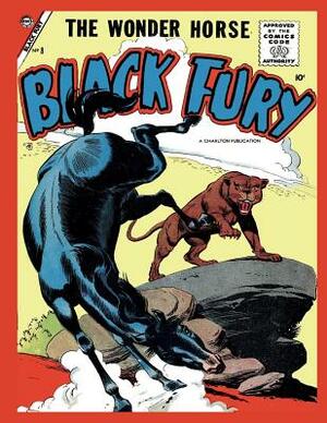 Black Fury # 8 by Charlton Comics Group