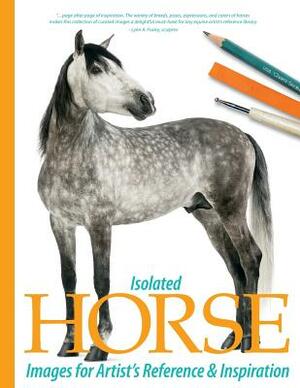 Isolated Horse Images for Artist's Reference and Inspiration by Sarah Tregay