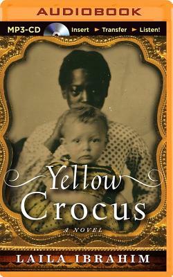 Yellow Crocus by Laila Ibrahim