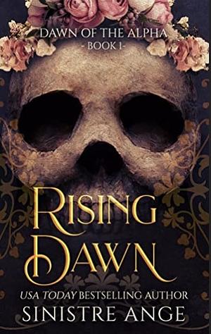 Rising Dawn by Sinistre Ange