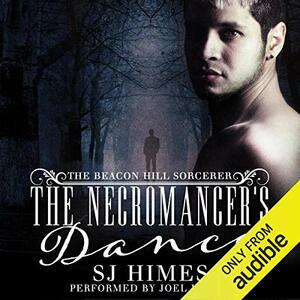 The Necromancer's Dance by S.J. Himes