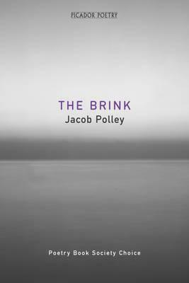 The Brink by Jacob Polley