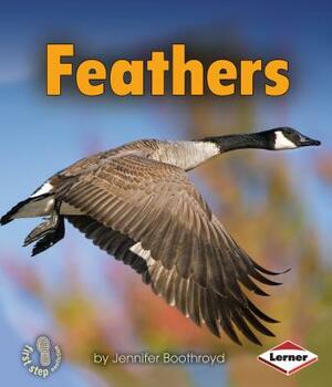 Feathers by Jennifer Boothroyd