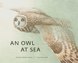 An Owl at Sea by Ian Wallace, Susan Vande Griek