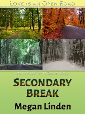 Secondary Break by Megan Linden