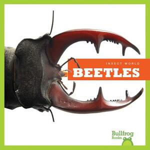Beetles by Mari Schuh