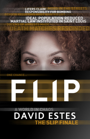 Flip by David Estes