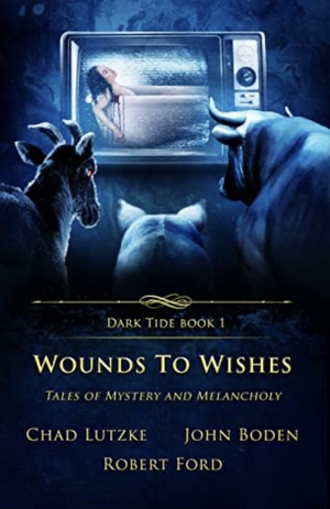 Wounds to Wishes by Robert Ford, Chad Lutzke, John Boden
