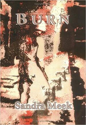 Burn by Sandra Meek