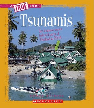 Tsunamis by Chana Stiefel